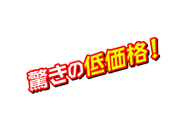 驚きの低価格！